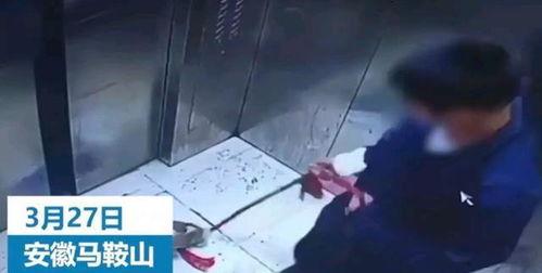 爆料安徽渣男视频大全集,视频大全集曝光惊人真相